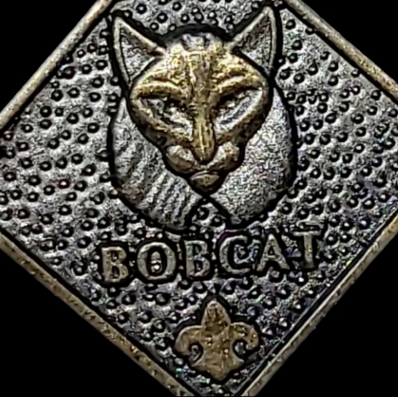BOY SCOUTS OF AMERICA BOBCAT UNIFORM LAPEL PIN - Picture 2 of 3